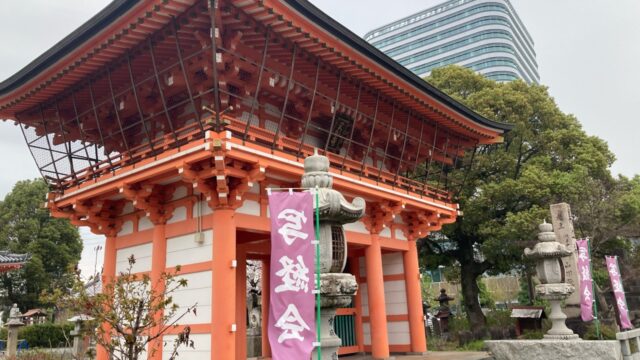相川の鯉のぼり