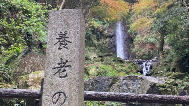 三光寺のあじさい